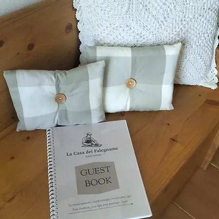 La Casa Del Falegname Apartmán San Pietro Vara